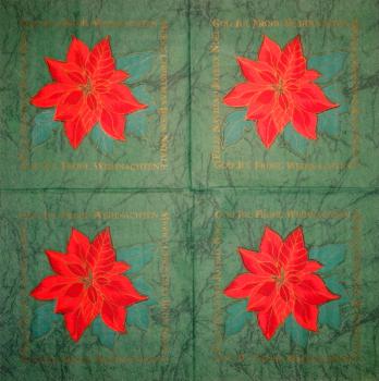 001 Christmas Flowers - Ihr
